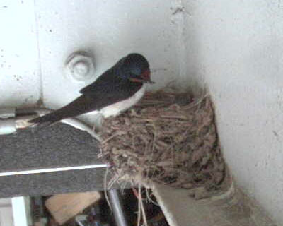 �ς��Ȃ��E�E�E