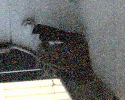 �Ō�̖�B�߂��Ă������A���𒲂ׂďo��