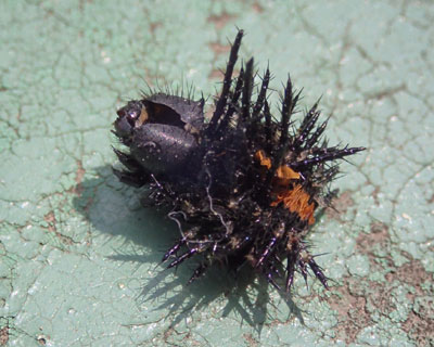 �z������锲���k