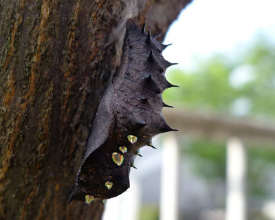 �����܂ł�匂a������