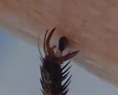 �w��͂Ȃ񂩕�