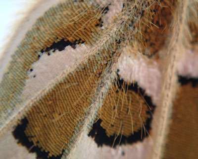 �т��ؕ�������