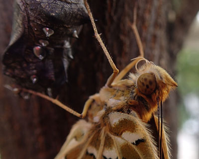 �������邭�鎎�^�]