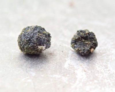 �E���R�͊ۂ�