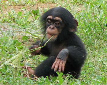 �����ɍs��������������