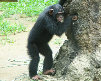 ���ŃW���[�X��ނ�