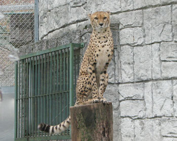 ������������L�w�ɂȂ�Ȃ�