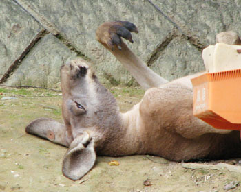 ���났����