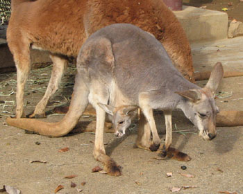 �ו����ז��ł����݂ɂ���