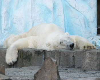 �����ď����āE�E�E