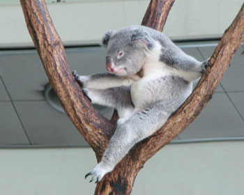 ���̌`�Ōł܂��Ă���