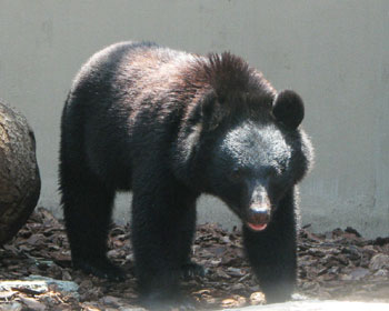 �q�O�}�����H