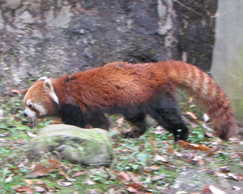 �I�g�i�͑̌^���Ⴄ