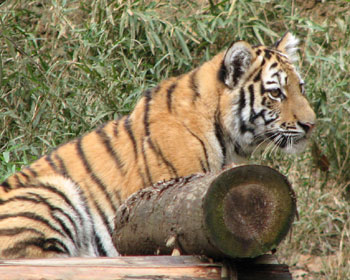 ��͂��������I�g�i