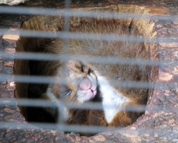 �������T�T�r