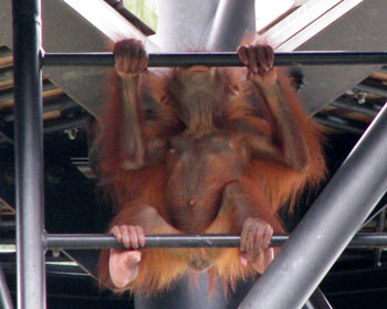 �o�J���ۂ�