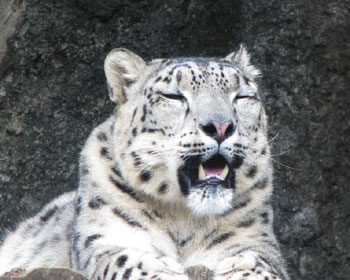 �܂��o�J�ʂɂȂ���