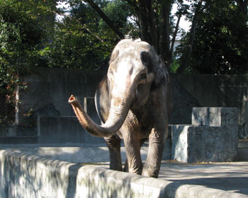 �]�E�̂͂Ȃ�����