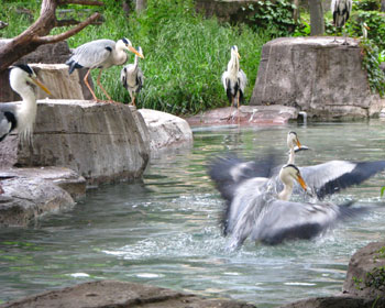 ���n������A�I�T�M