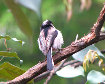 �����Ă�̂������ĂȂ��̂�