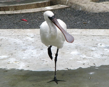 �N���c����������T�M