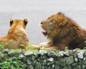 ���ꂵ��������Ȃ���