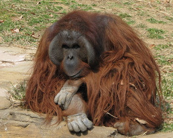 ���낻�땗�C�ɓ��낤��