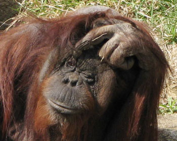 �N���Ɩڂ��J���Ȃ��Ȃ�̂�