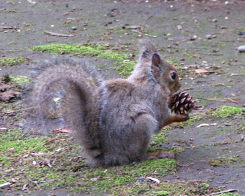 ���킢���j�z�����X