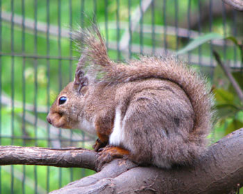 �����ۂ�w����