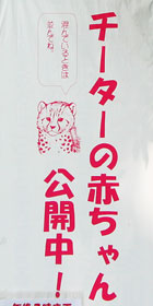 �Ŕ܂ł��킢��