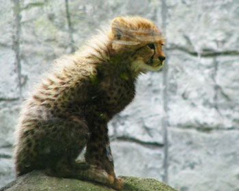 �ѕ��݂��ς�ς�