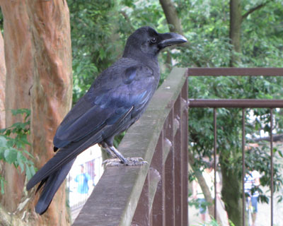 �������͕�炵�₷���ł�