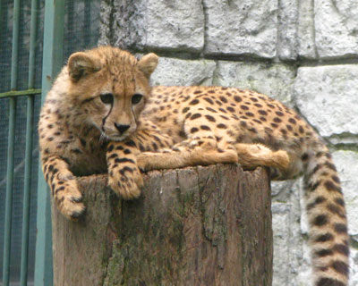 �Ȃ񂩋�����