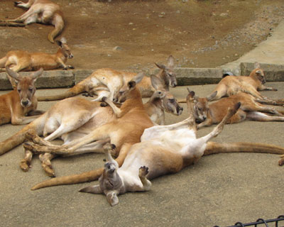 �قƂ�ǋN���Ă�̂����Ȃ�