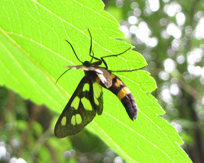 �������ɂ͒��������ς�