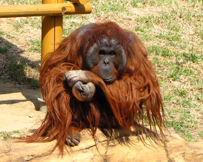 ���Q�G�̂������񂶂�ˁ[�񂾂�