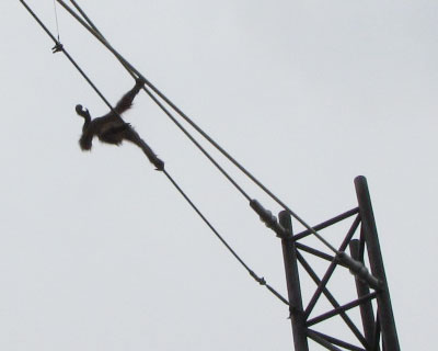 ���͂������炵��