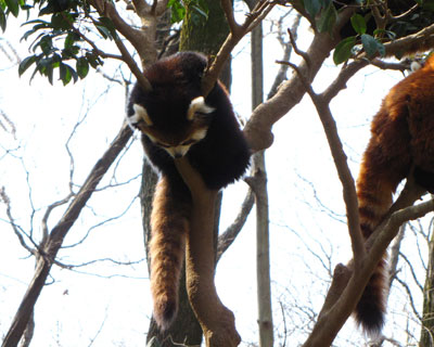 ���ƂɎ��s�����킯����Ȃ���