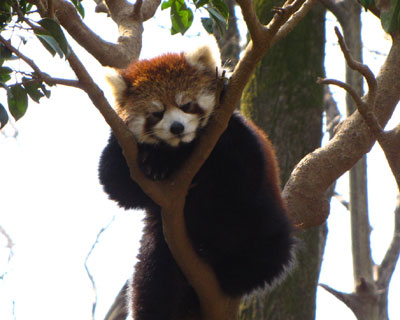 �ق�A�����Ă邩��