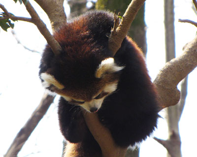 ���������Ă��ӊO�Ɋy�Ȃ񂾂�