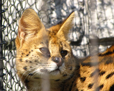 �ł��g������Ȃ��ăT�[�o������