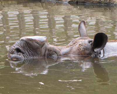 �J�o����Ȃ���A�C���h�T�C����