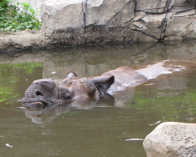 �ڂ�������