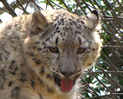 �q���L�q���E�������Ԉ���Ă�