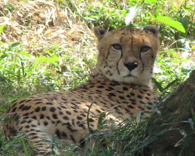 �Ă̏I���A���A�ŗ���