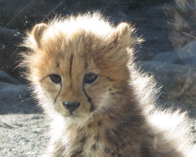 �S�g�ς�ς�