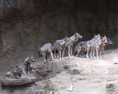 ��Ƒ��Ő���