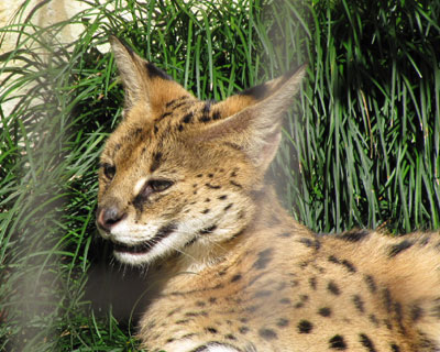 ���ɍs���Ă�����ς�Q�Ă�