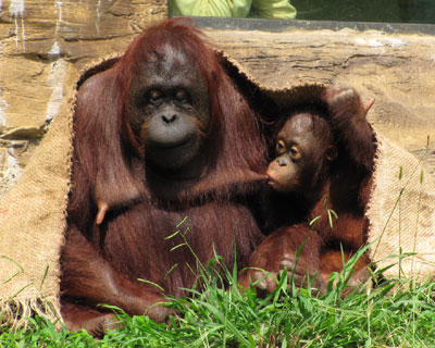 �����`�`�`